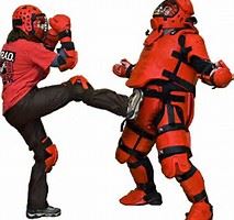 Rape Aggression Defense System