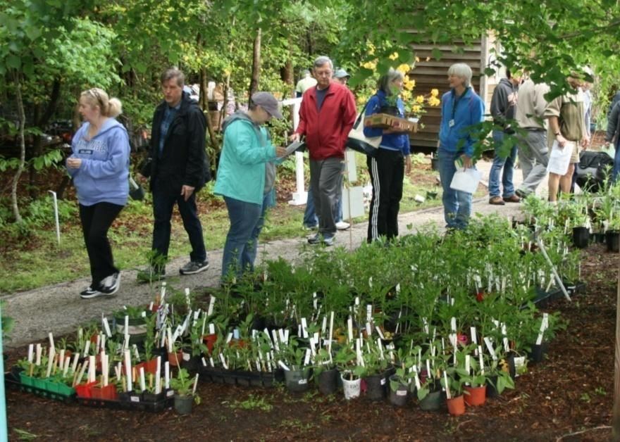 York Learning Garden Plant Sale