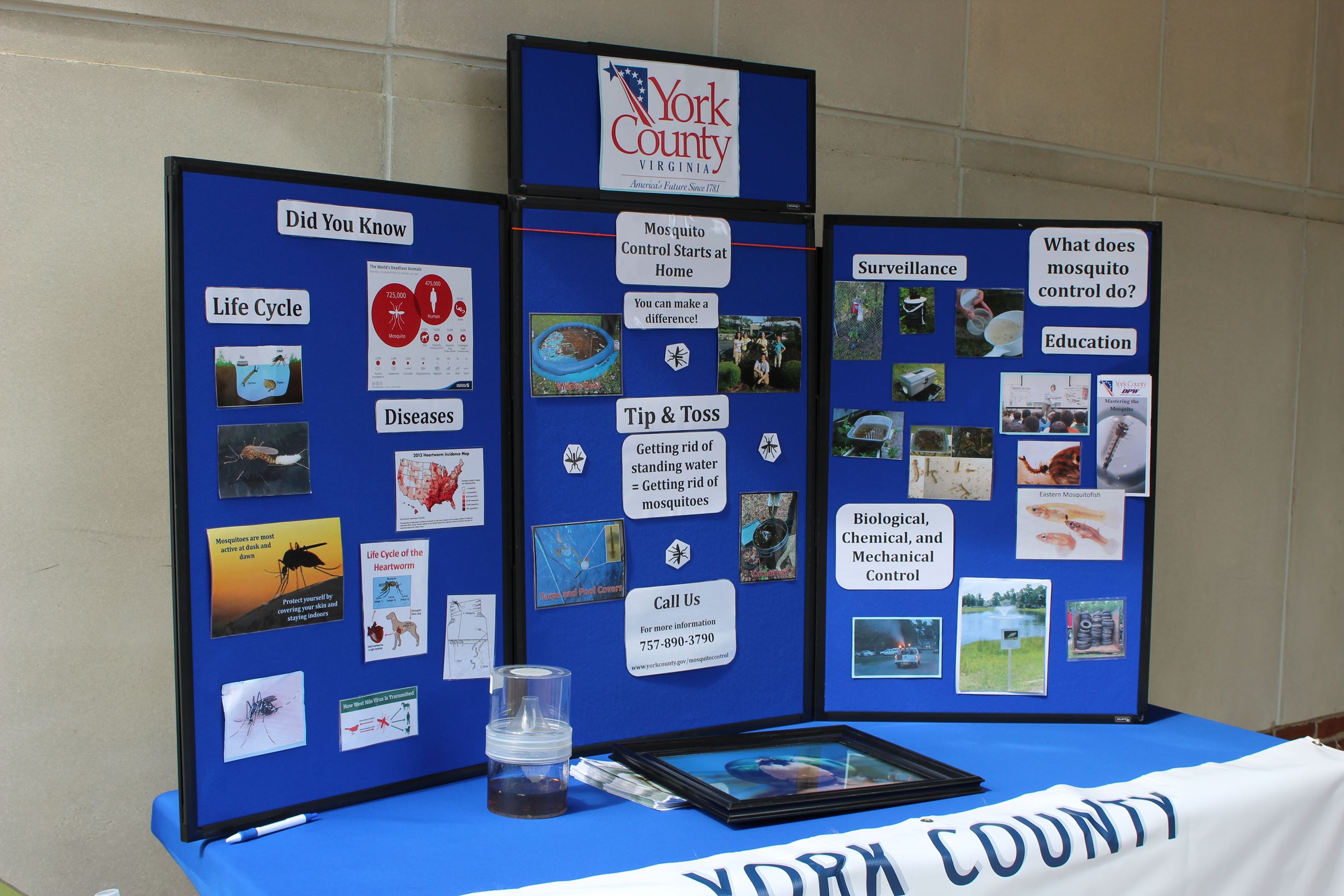 This is an image of a display board