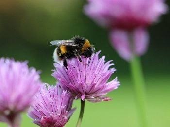 Beautiful York County Calendar