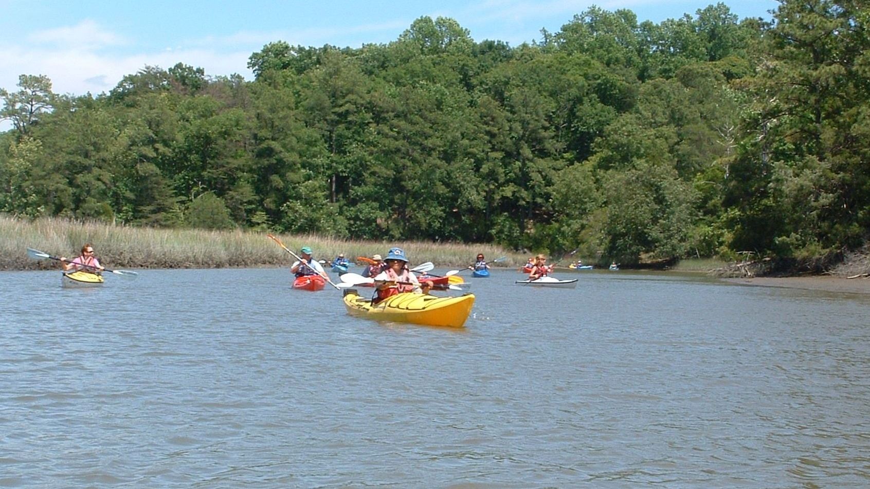 Front View of Kayakers