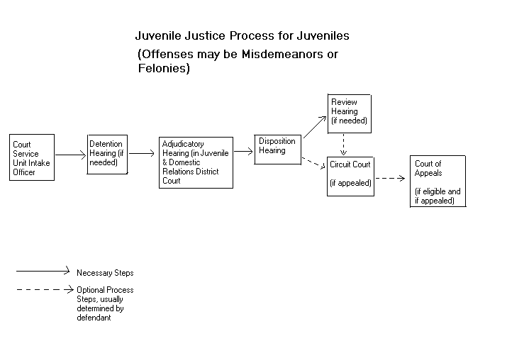A flow chart showing procedures in juvenile cases.