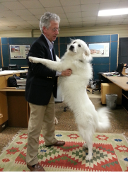 An office day for Mick