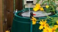Rain Barrel