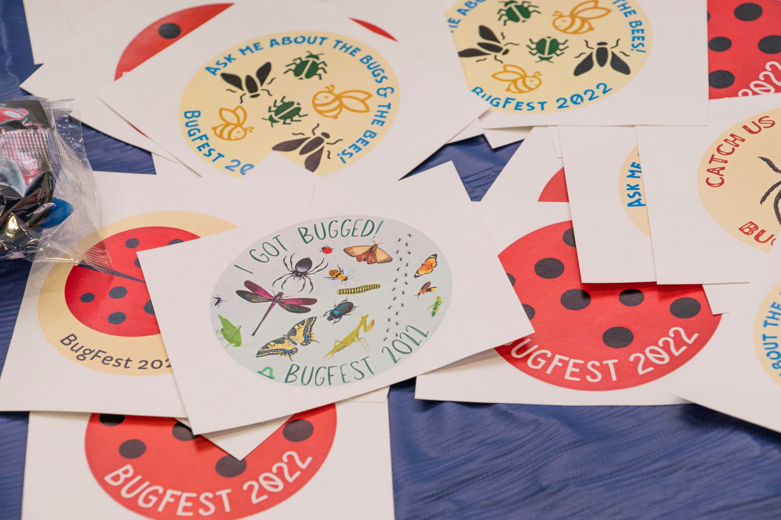 This is an image of Bug Fest 2022