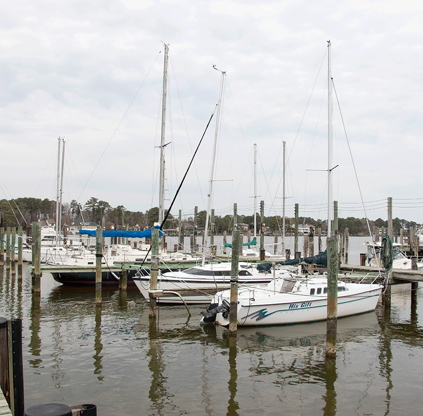 Mills Marina