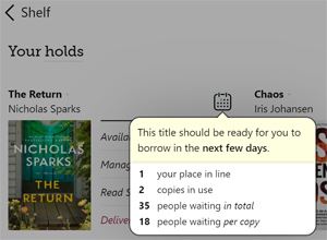 See your place in line for a hold