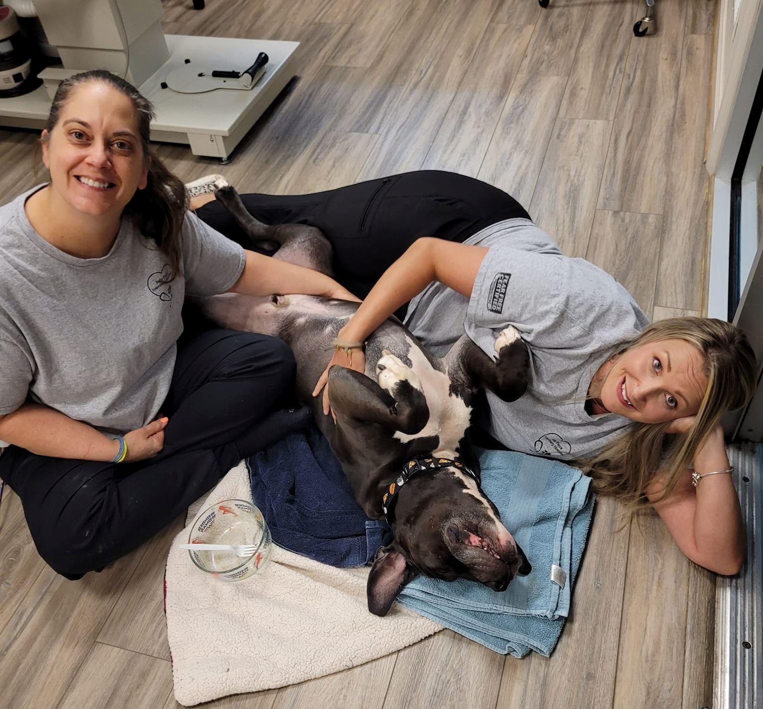 Salty Paws Vet Hospital